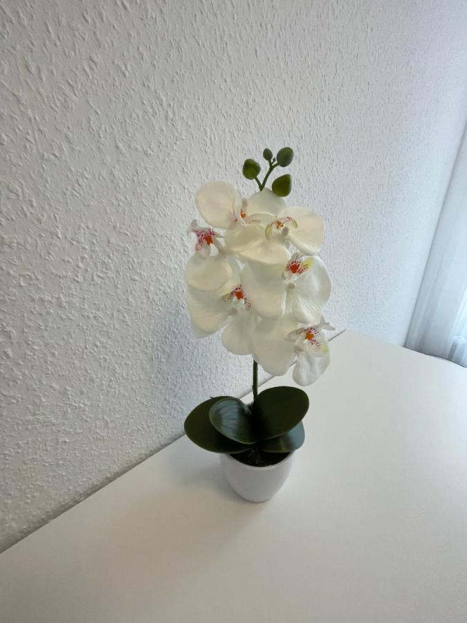 Lucky Stays Ls07 - Vollausstattung - Zentrum - Aufzug - Grosse Kueche - 2 Zimmer - Smart-Tv Magdeburg Eksteriør billede