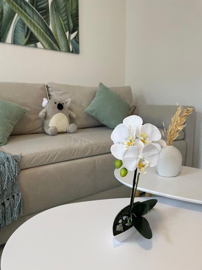 Lucky Stays Ls07 - Vollausstattung - Zentrum - Aufzug - Grosse Kueche - 2 Zimmer - Smart-Tv Magdeburg Eksteriør billede